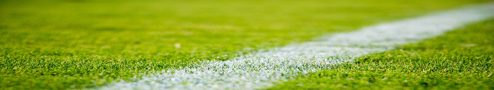 硅pu材料廠家技術優勢